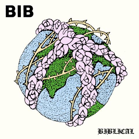 Bib biblical