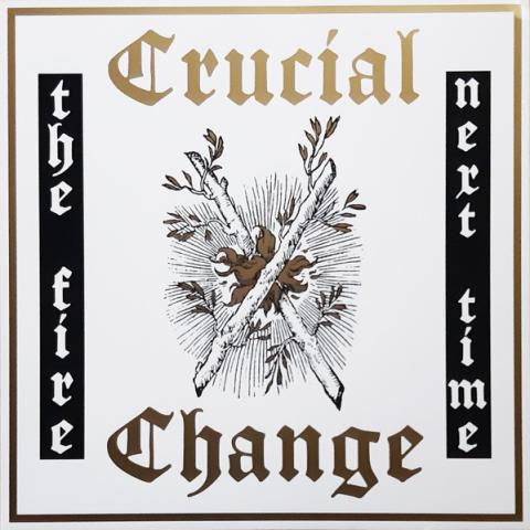 Crucial Change the fire next time