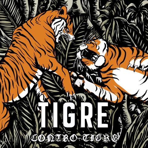 Tigre contro tigre