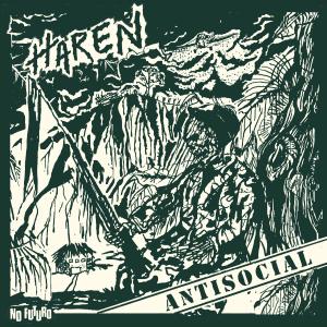 Haren antisocial